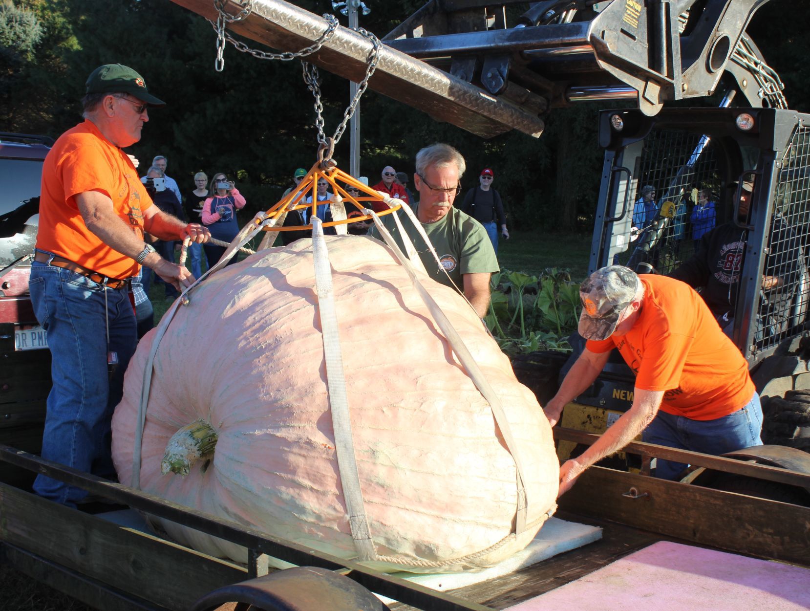 It’s Pumpkin Show time!